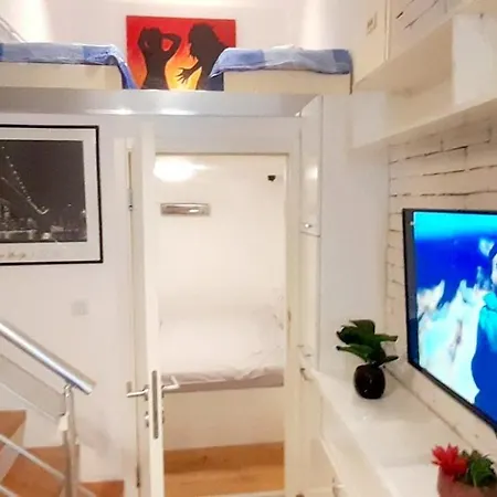 Alex 3 * Belgrade
